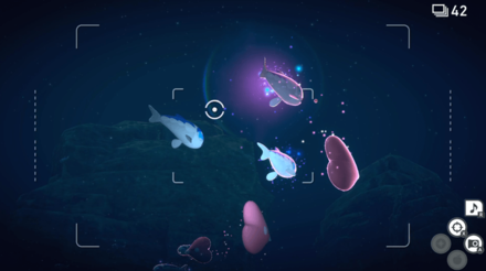 New Pokemon Snap - Wishiwashi Luvdisc