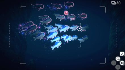 New Pokemon Snap - Wishiwashi Group