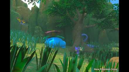 Staredown for Venusaur