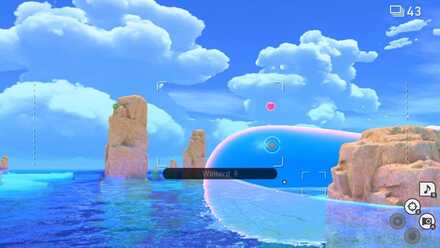 New Pokemon Snap Wailord Request.jpg