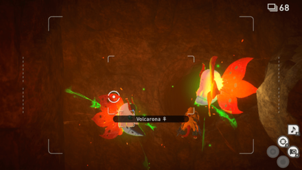 New Pokemon Snap - Vocal Volcarona Step 2