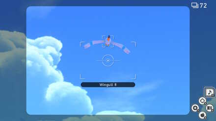 New Pokemon Snap Best Wingull.jpeg