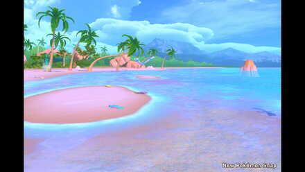 New Pokemon Snap Wingull Spots.jpeg