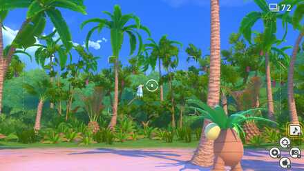 New Pokemon Snap Getting Wingull.jpeg