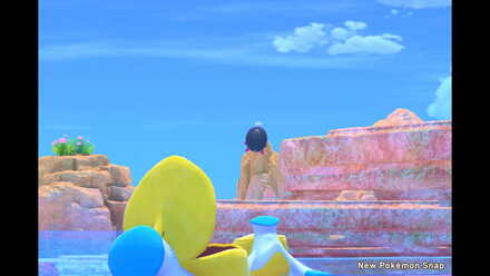 Returning to the Sea