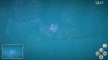 New Pokemon Snap - Lugia Location Step 3