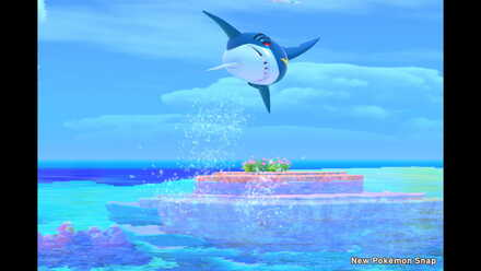 A Bite for the Bully of the Sea