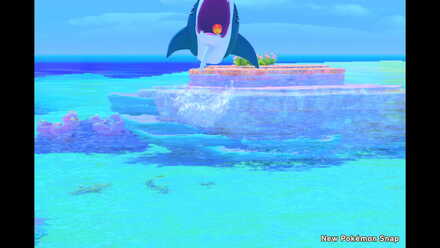 New Pokemon Snap Feed Sharpedo Bully of the Sea.jpeg