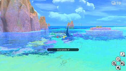 New Pokemon Snap Reef Day Sharpedo Fluffruit.jpeg