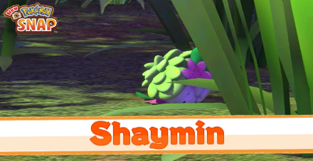 Shaymin, Wiki