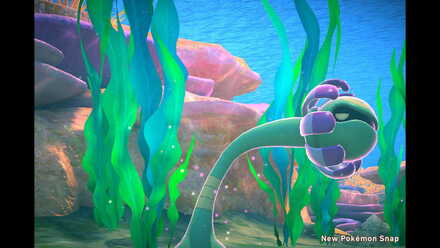 New Pokemon Snap Make Cradily Dance.jpeg