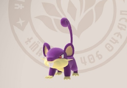 Rattata