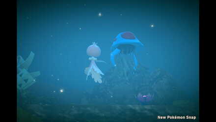 Undersea Ballroom Dancing