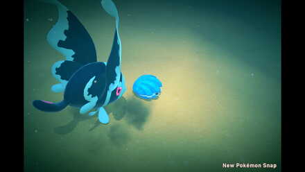 New Pokemon Snap Lumineon Clamperl Request.jpeg