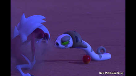 Revenge of Silicobra