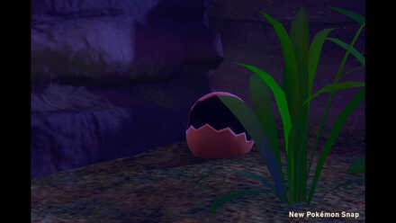 Hide-and-Seek in the Desert