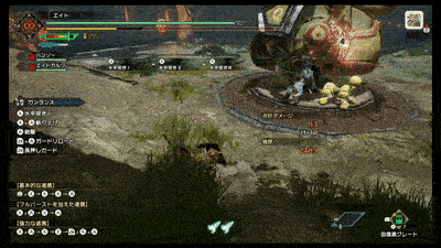 MH Rise - Guarding Parasol