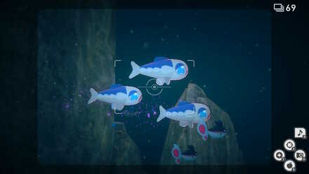 New Pokemon Snap Wishiwashi Illumina Spot.jpeg