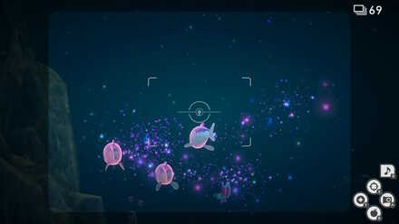 New Pokemon Snap Illumina Wishiwashi.jpeg