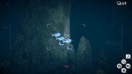 Swirling Energy Where to Crystabloom How.jpg