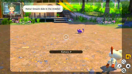 New Pokemon Snap - Take a Photo of the Rattata Being Chased by the Meowth