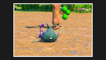 In the Middle of the Camp