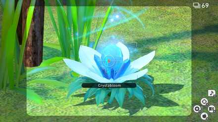 What are Crystablooms