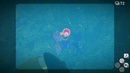 Light in the Depths Lanturn Frillish.jpeg