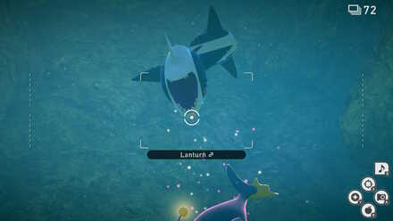 Light in the Depths Request Sharpedo Lanturn.jpeg