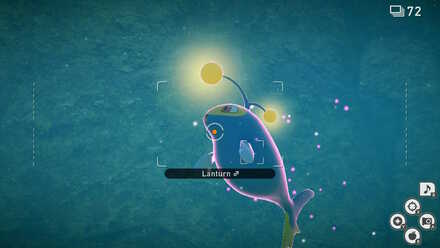 Light in the Depths Request Lanturn Illumina.jpeg