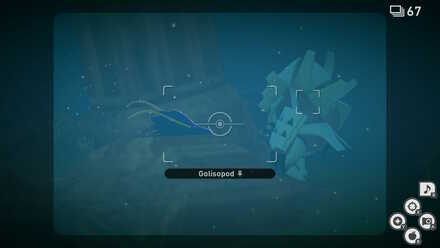 New Pokemon Snap Golisopod Fight.jpeg