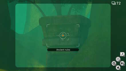 Forest ancient ruins.jpg