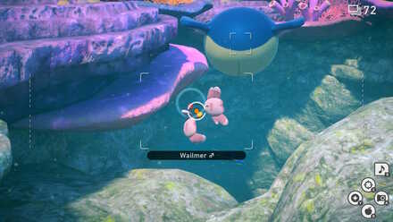 New Pokemon Snap Alomomola Undersea.jpeg