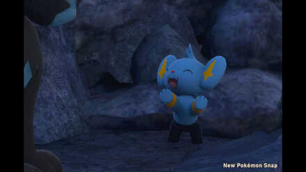 Little Lost Shinx