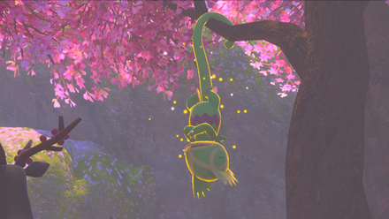 Upside-Down Hide-and-Seek