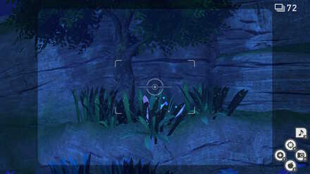 Sylveon location 1.jpg