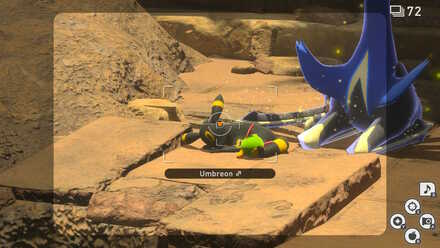 Umbreon location 1.jpg