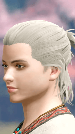 MH Rise - Samurai Hairstyle