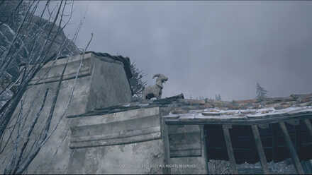 Resident Evil Village Goat 3 Location.jpg