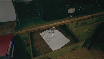 Resident Evil Village - Medical Checkup Report.jpg