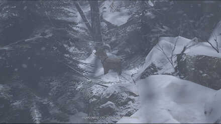 Resident Evil Village Goat 4 Location.jpg