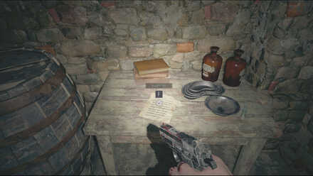 Resident Evil Village - Observation Report.jpg