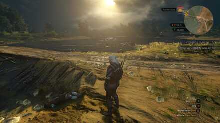 Location of the Temerian lily key