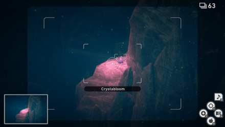 New Pokemon Snap - Illumina Spot (Lental Seafloor) Crystabloom2