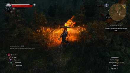 Use Igni to fight Wolves