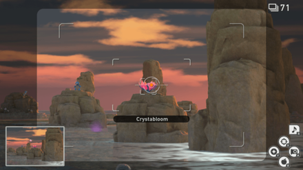 New Pokemon Snap - Reef (Evening) Crystabloom1