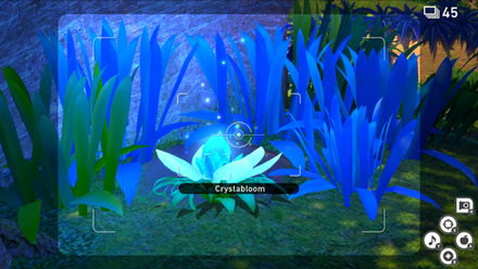 Park (Day)  - Crystabloom 1.png