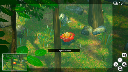 Jungle (Day) - Crystabloom 3.png