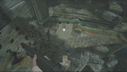 Resident Evil Village - Reservoir and the Giant Fish.jpg