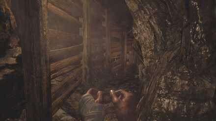 Resident Evil Village_20210507035312.jpg